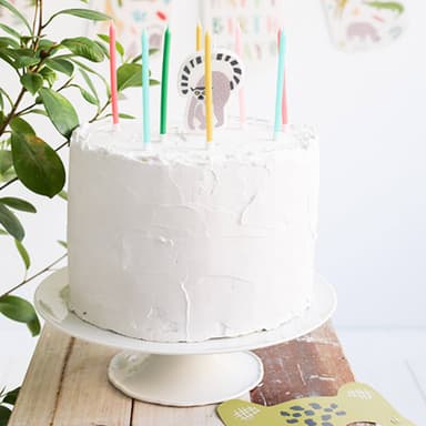 Candle  Zoo Party- 11 Pc inspiration 1